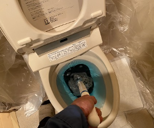 トイレの詰まり解消パッコンバー01