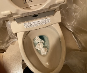 トイレの詰まり解消パッコンバー03